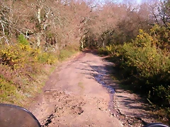 DSCN1133 DSCN1133
