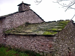 DSCN1157 DSCN1157