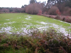 DSCN1161 DSCN1161