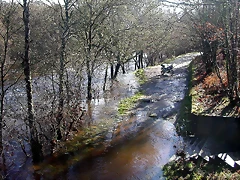 DSCN1174 DSCN1174