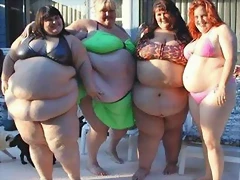 gordas gordas