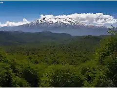 volcan pehueye enero del 2011