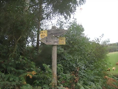 IMG_0232 IMG_0232