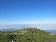 IMG_4410
