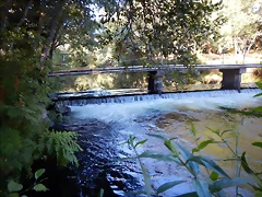 DSCN9735 DSCN9735