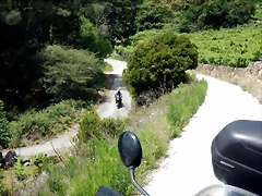 DSCN7822 DSCN7822