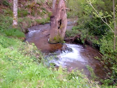 DSCN9186 DSCN9186