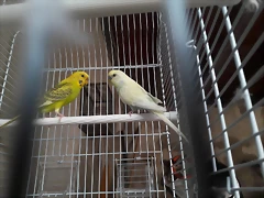 20180922_160630