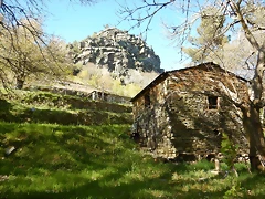 DSCN8987 DSCN8987