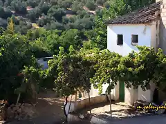 01, cortijo de Merino, marca