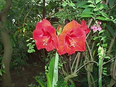 P1010066