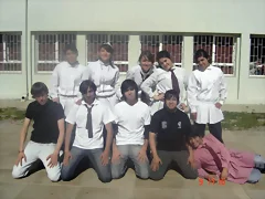curso sensey curso sensey