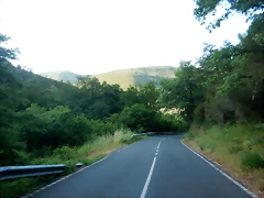 DSCN2442 DSCN2442