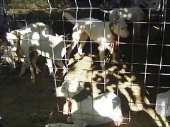 CIMG0477_a