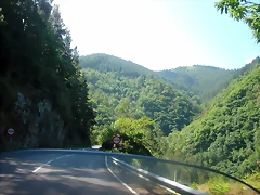 DSCN3646 DSCN3646