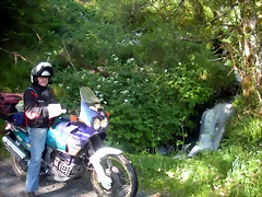 DSCN5271 DSCN5271