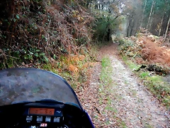 DSCN0725 DSCN0725
