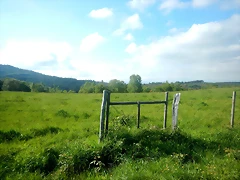 DSCN6241 DSCN6241