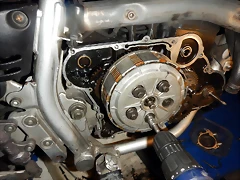DSCN5784 DSCN5784