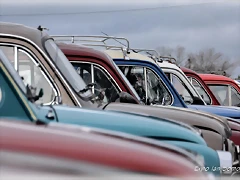 DSC_0022 DSC_0022