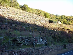 DSCN6471 DSCN6471