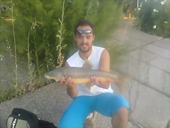 21072010063 21072010063