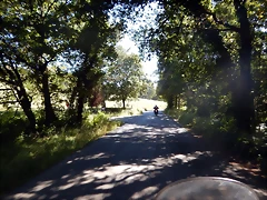 DSCN9571 DSCN9571