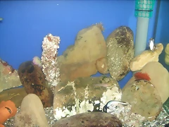 DSCF1376 DSCF1376