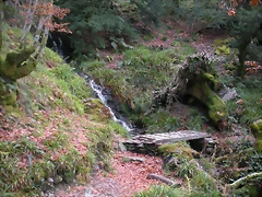 DSCN0682 DSCN0682