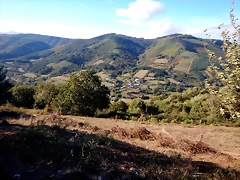DSCN9098 DSCN9098