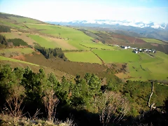 DSCN2518 DSCN2518