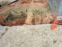 IMG20240906121149