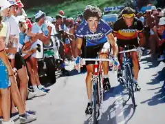 Perico-Tour1983-Van Impe2