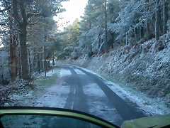 DSCN4777