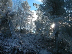 DSCN4779