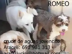 Romeo Crdoba