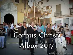 CORPUS ALBOX