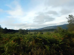 DSCN4438 DSCN4438