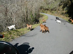 DSCN8032 DSCN8032