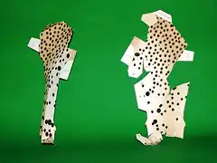 Cheetah (Papercraft) By Pendragon