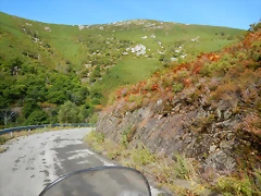 DSCN0225 DSCN0225