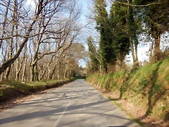 DSCN9524 DSCN9524