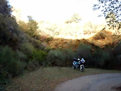 DSCN8605