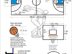 medidas-del-baloncesto medidas-del-baloncesto