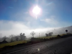DSCN1021