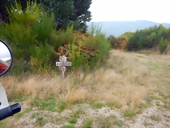 DSCN0156
