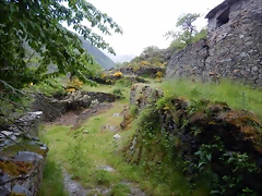 DSCN1184 DSCN1184