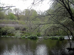 DSCN4153 DSCN4153