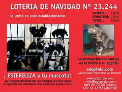 CARTEL_LOTERIA CARTEL_LOTERIA