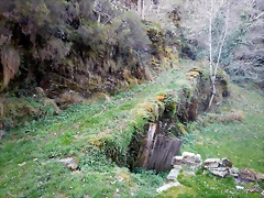 DSCN2824 DSCN2824